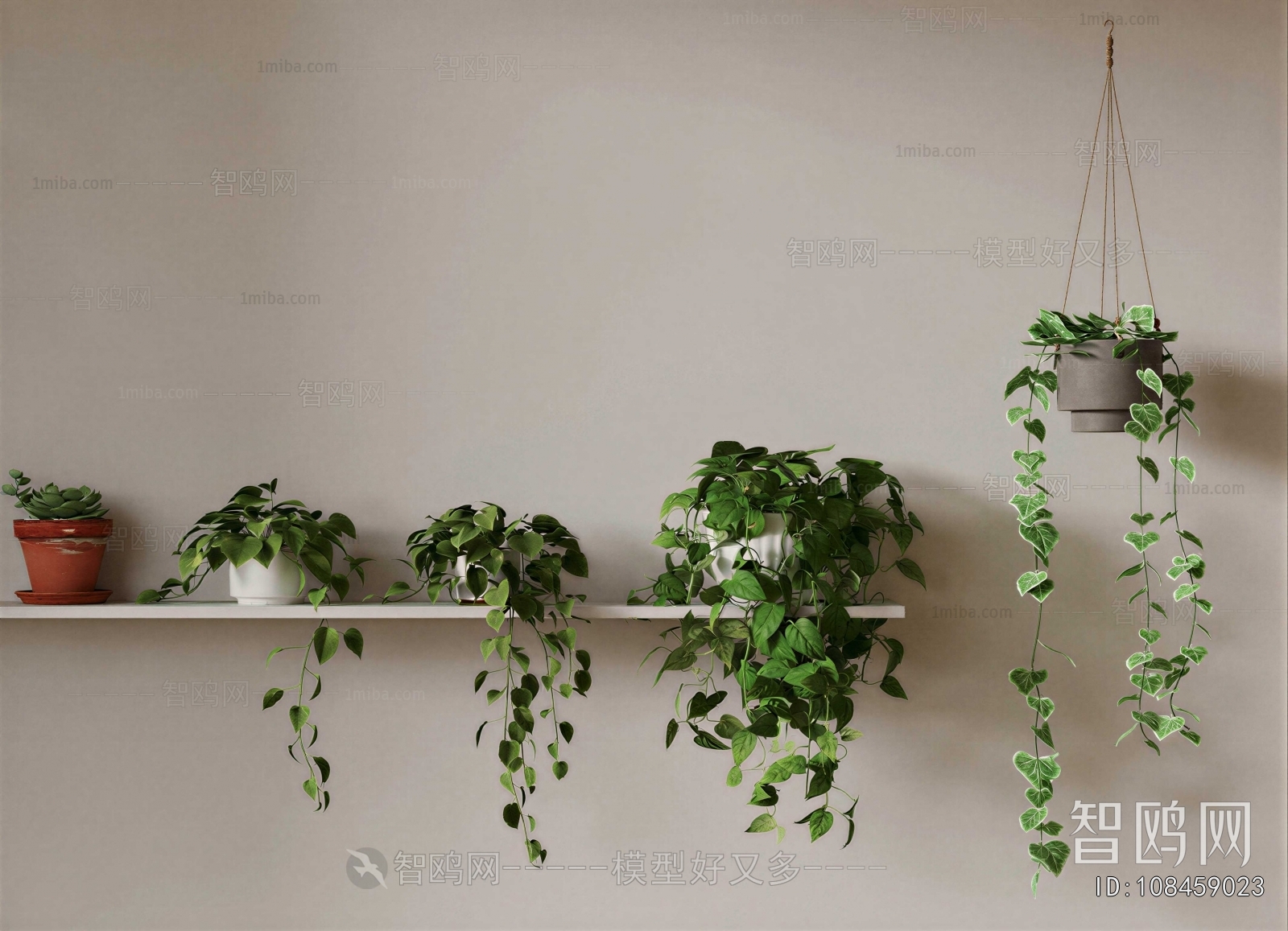 Modern Chlorophytum Comosum