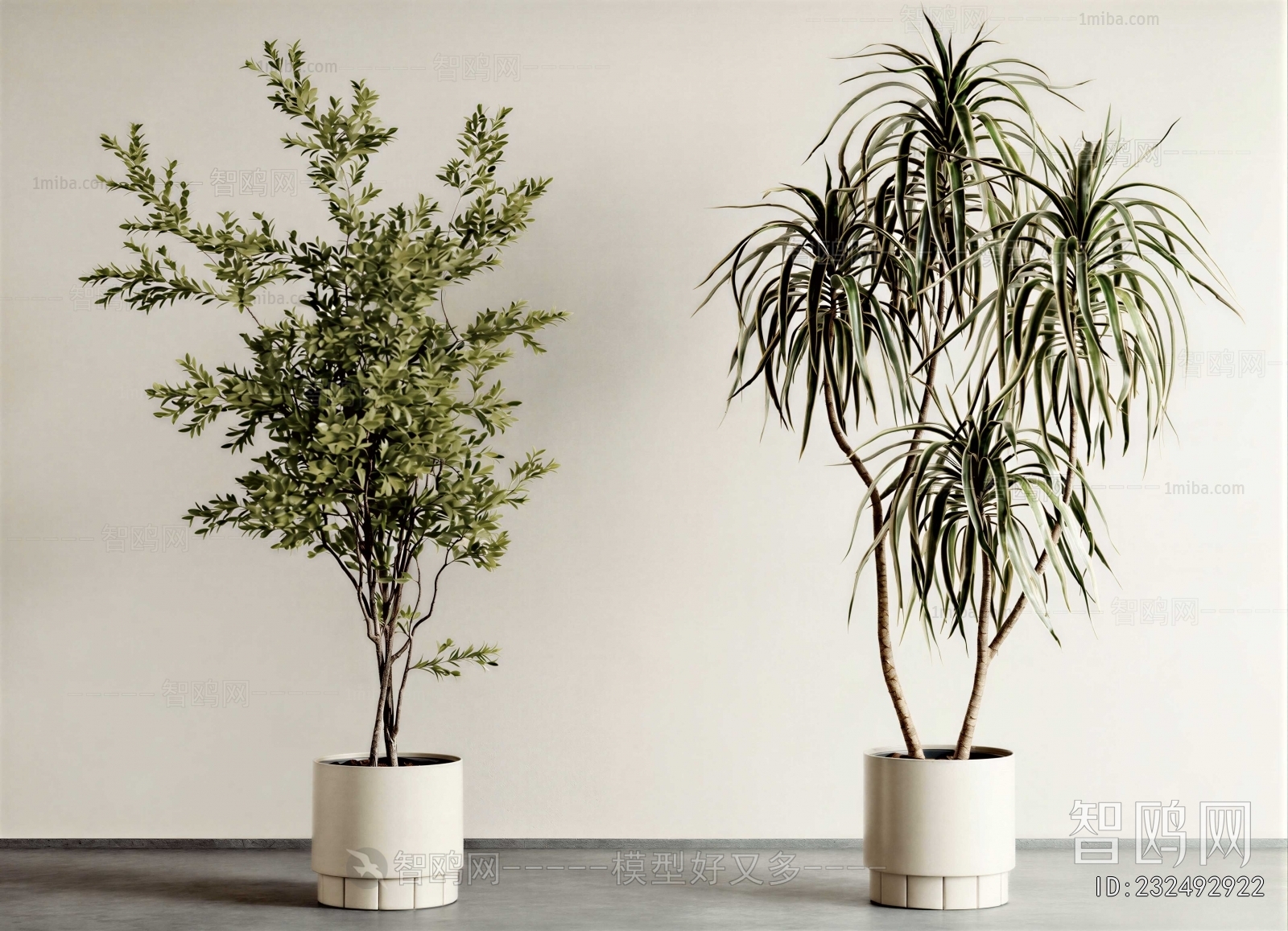 Modern Ground Green Plant Potted Plants