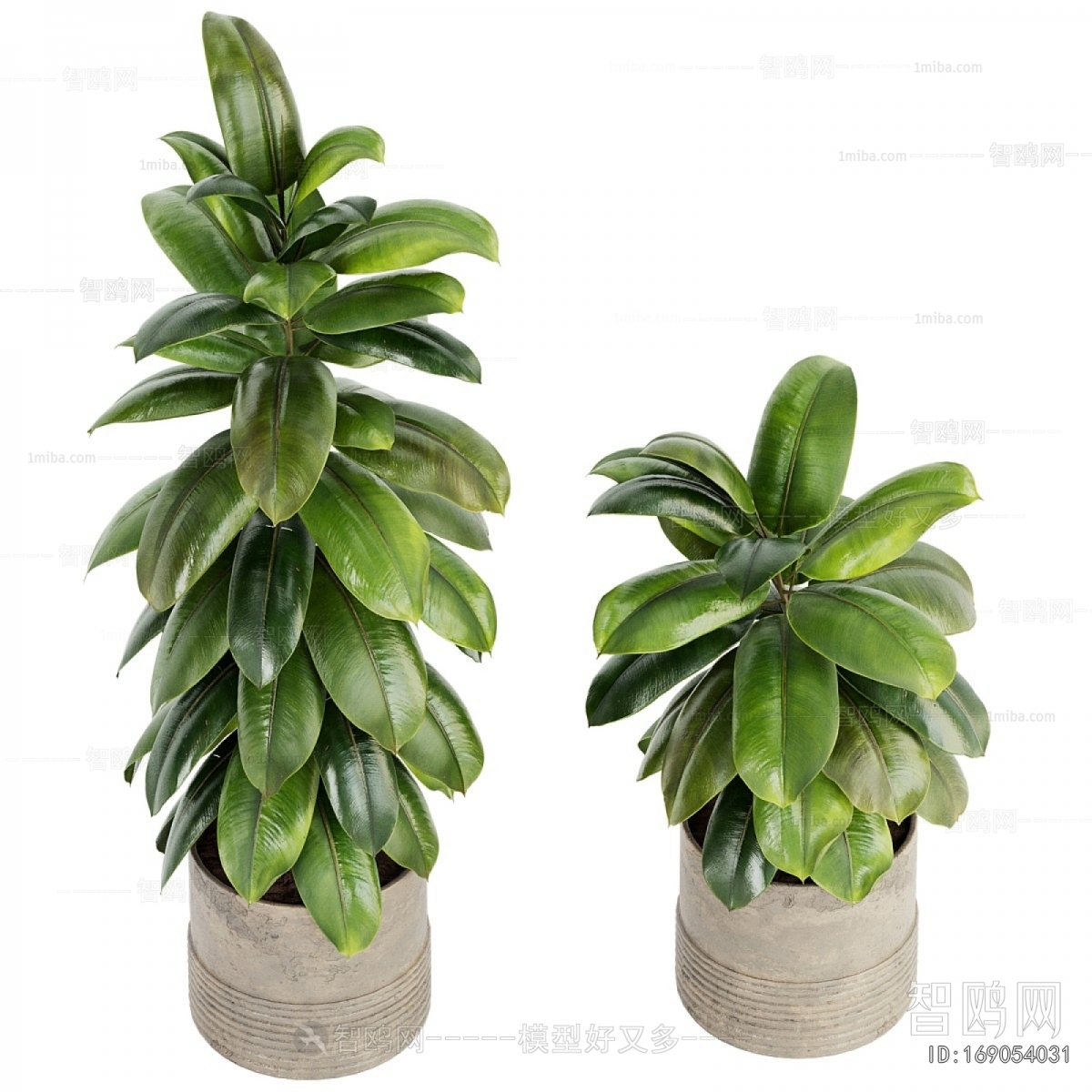 Modern Ground Green Plant Potted Plants