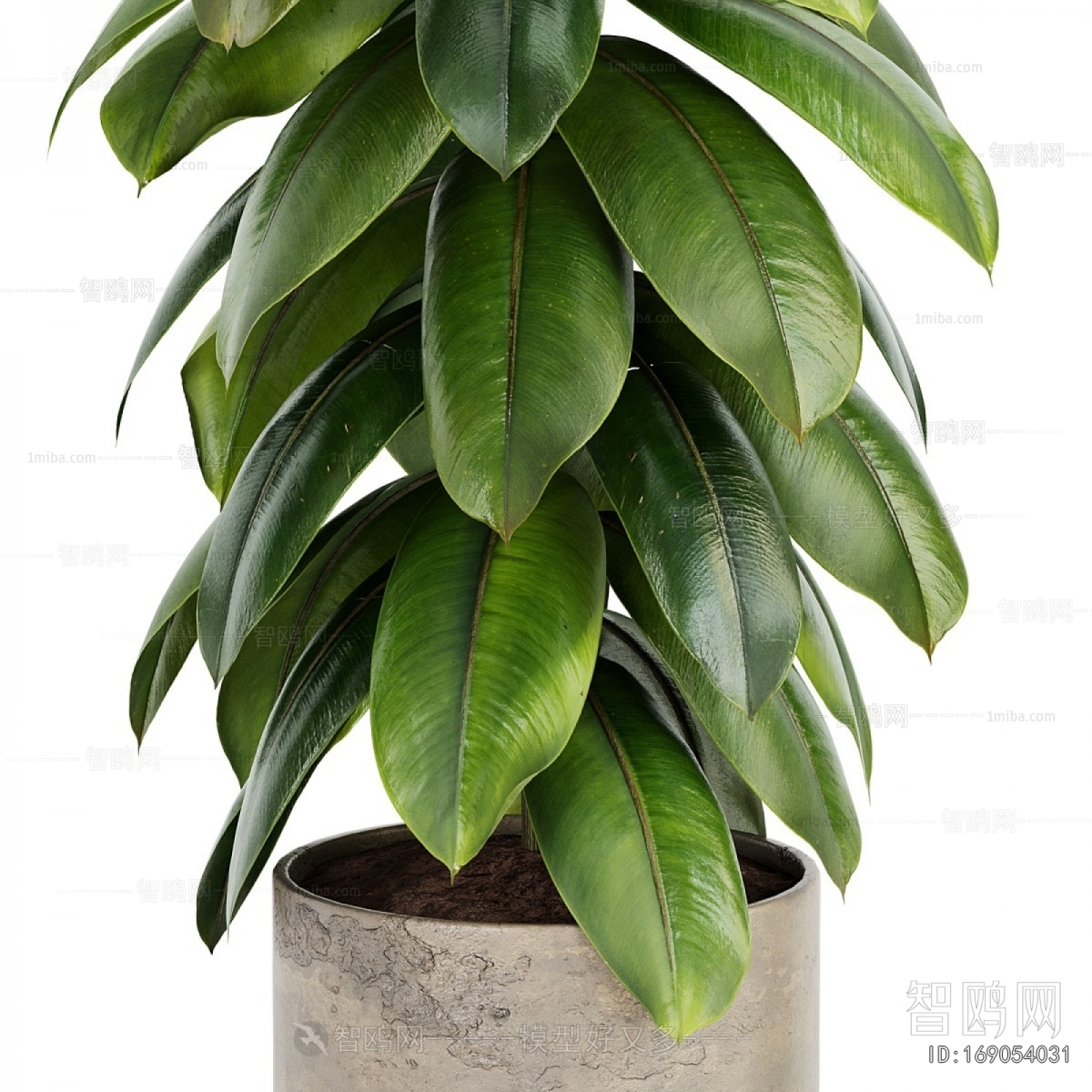 Modern Ground Green Plant Potted Plants