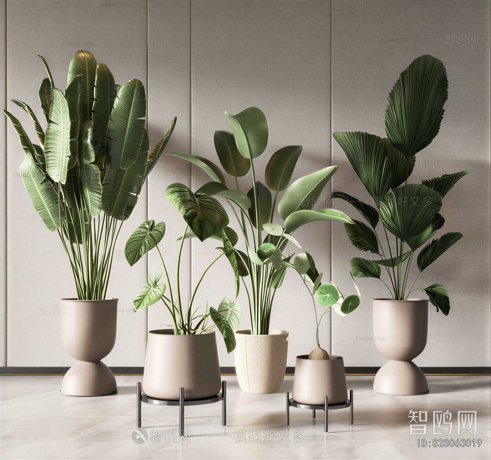 Modern Ground Green Plant Potted Plants