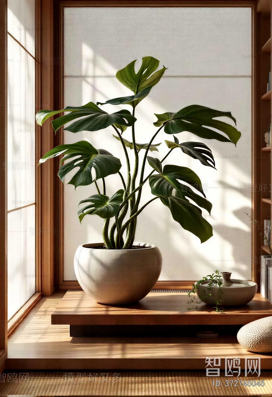 Modern Potted Green Plant
