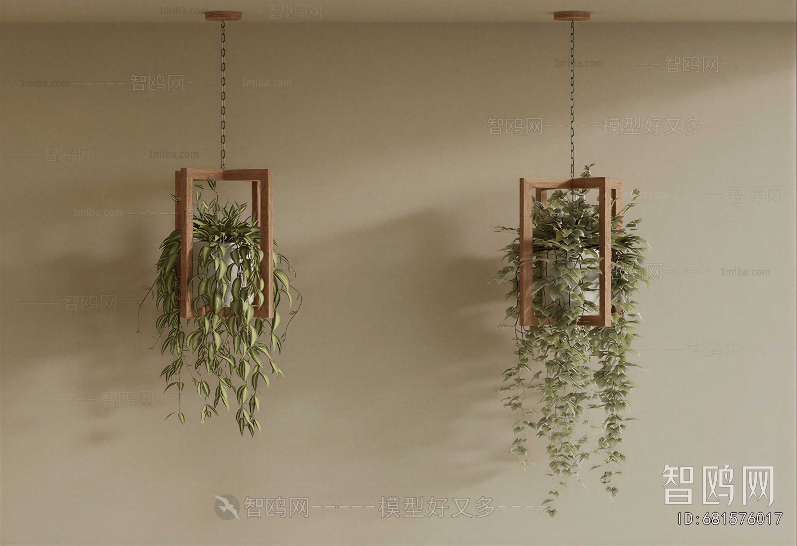 Modern Chlorophytum Comosum