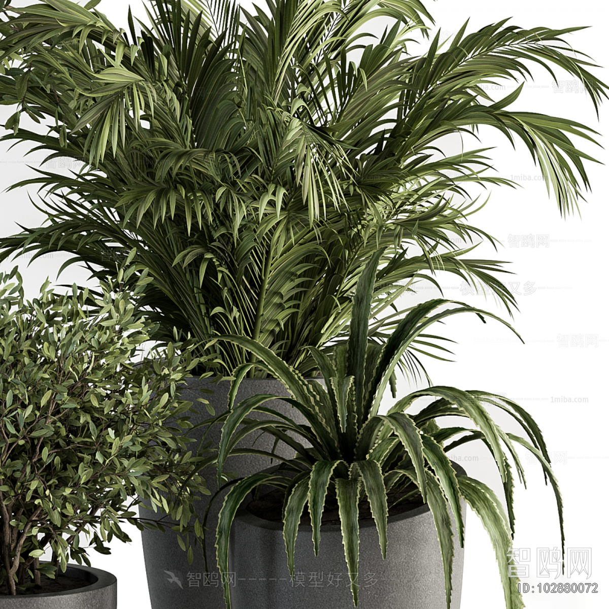 Modern Ground Green Plant Potted Plants