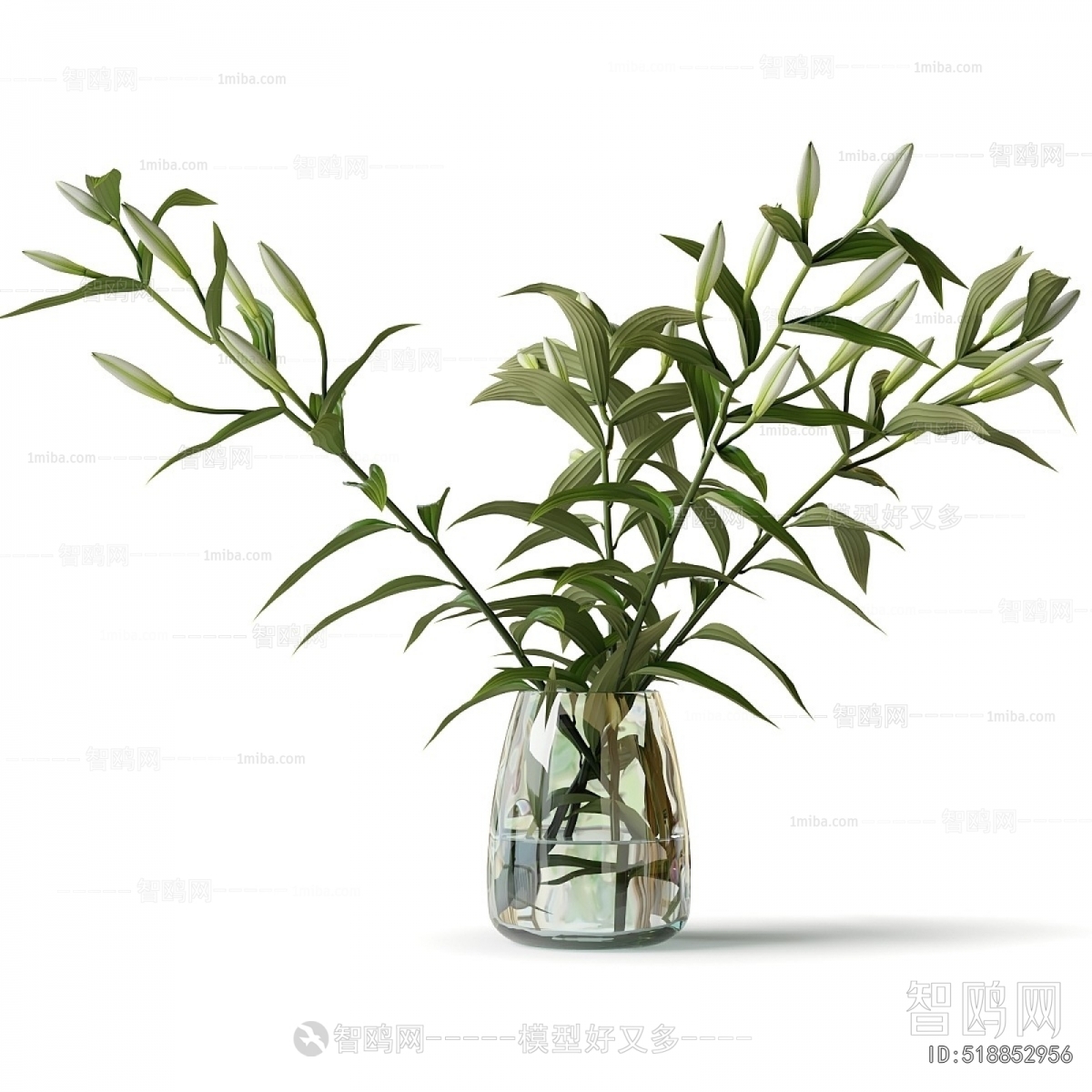 Modern Aquatic Green Plant
