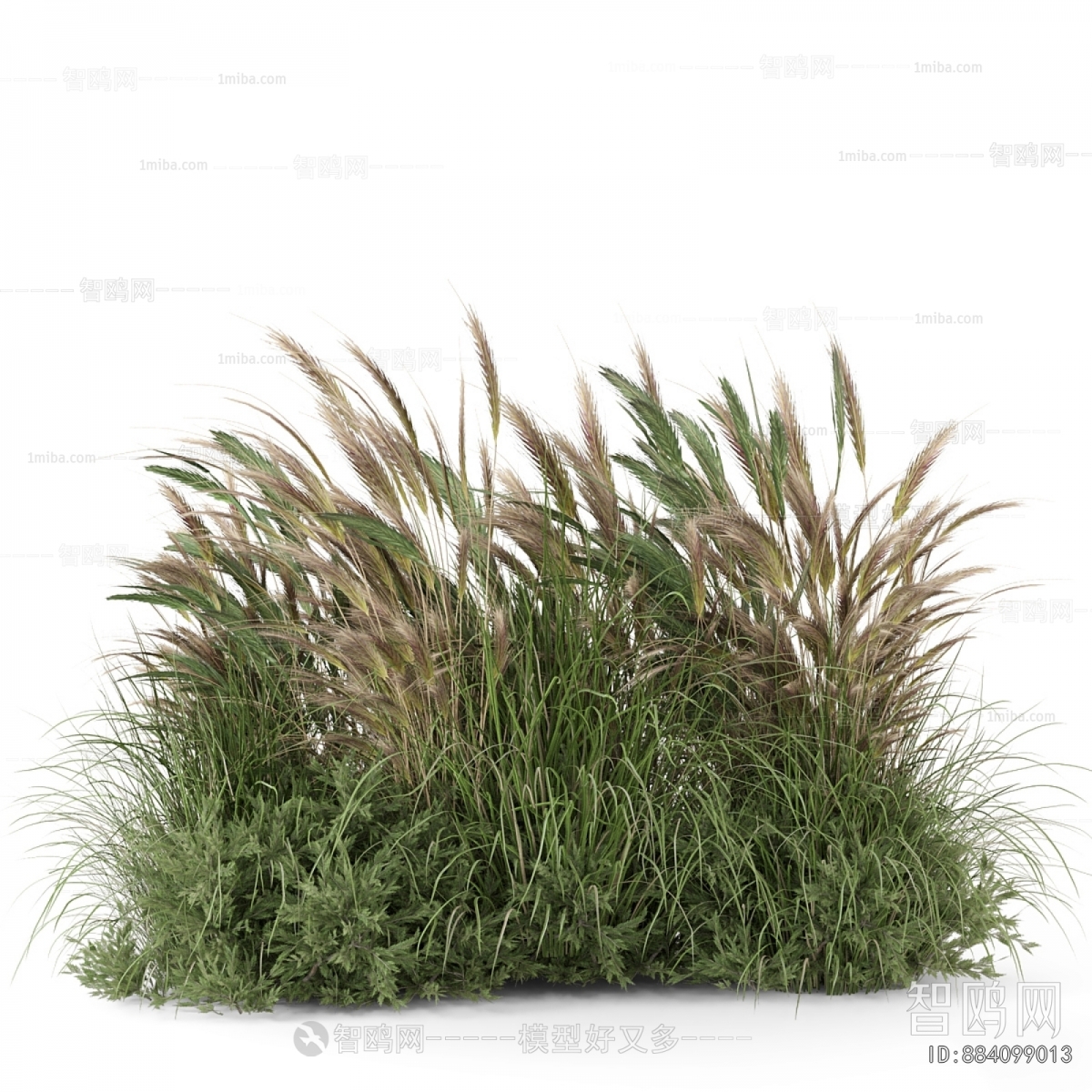Modern The Grass