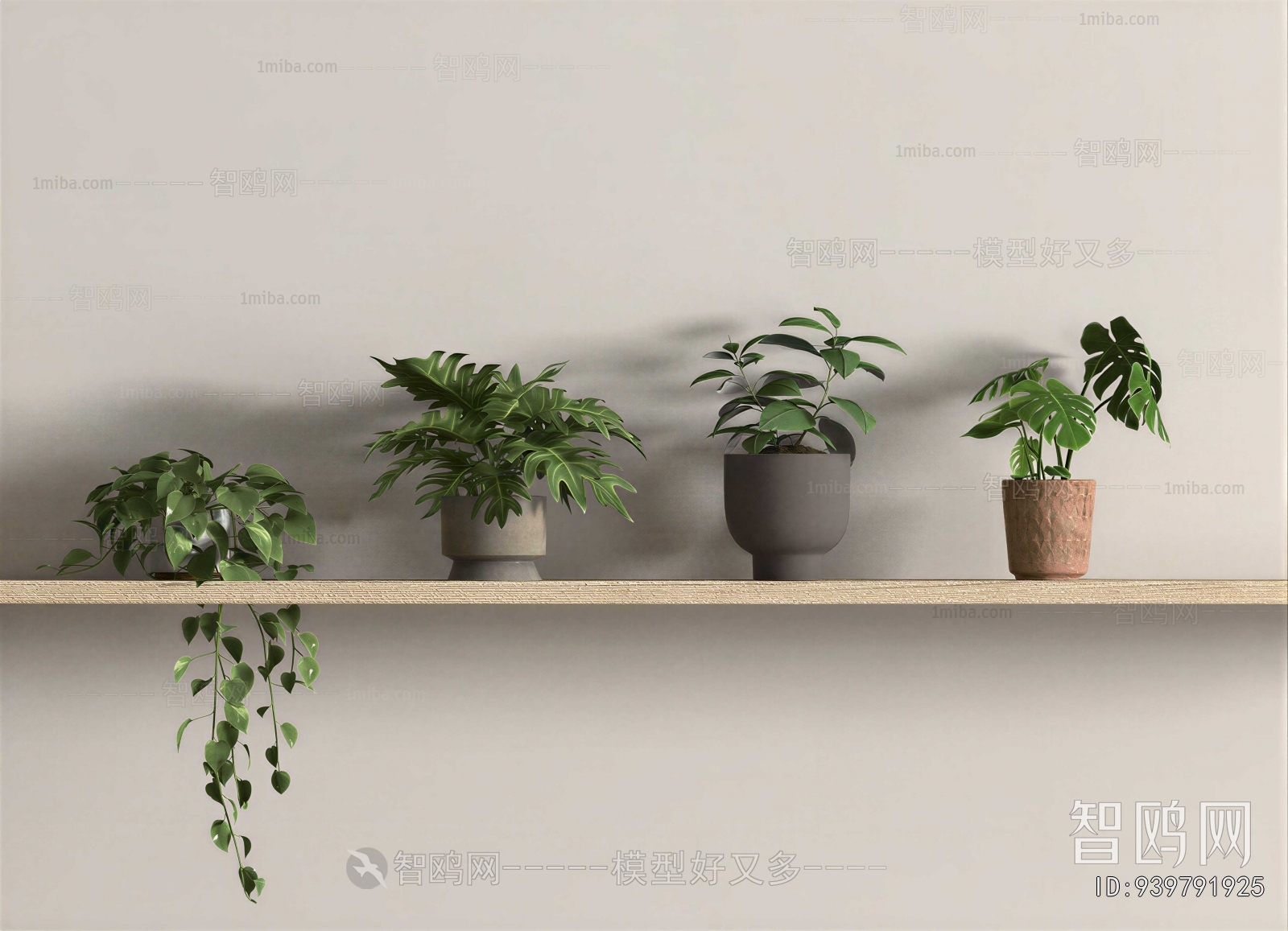 Modern Potted Green Plant