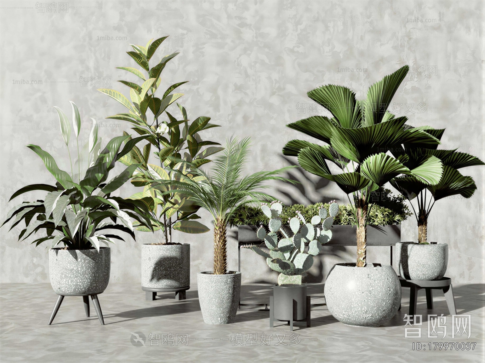 Modern Ground Green Plant Potted Plants