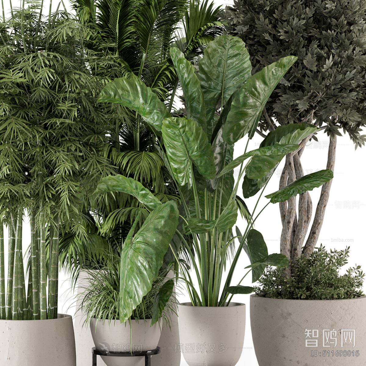 Modern Ground Green Plant Potted Plants