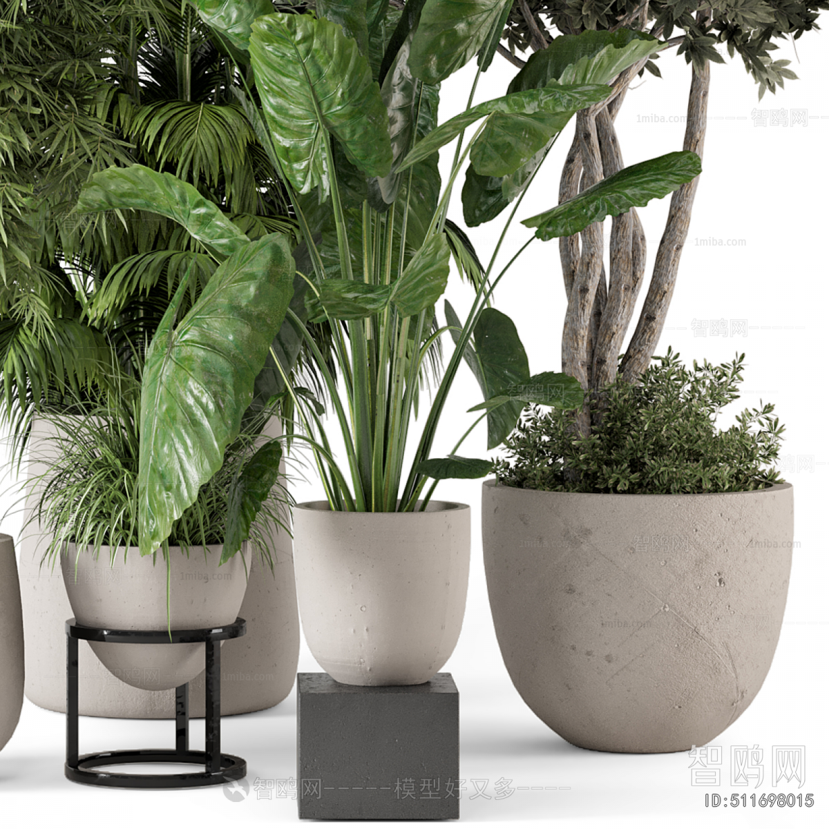 Modern Ground Green Plant Potted Plants