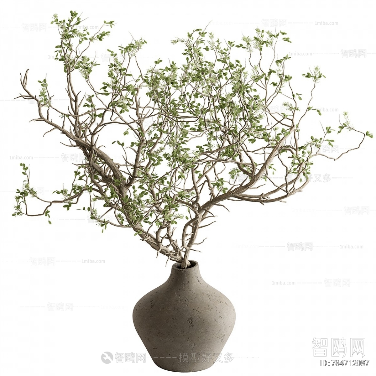 Modern Aquatic Green Plant