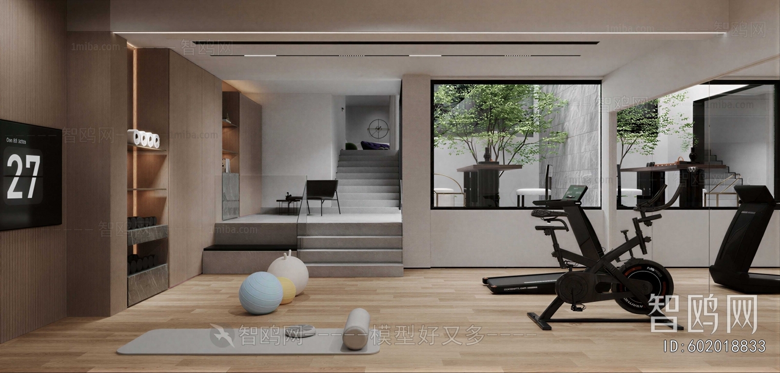 Modern Home Fitness Room