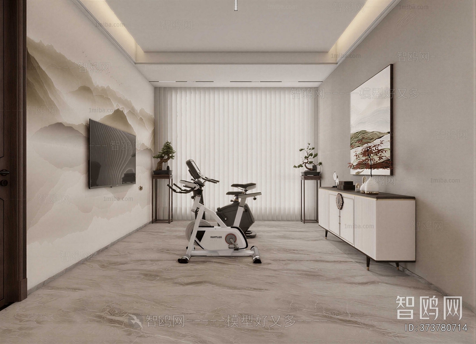 Modern Home Fitness Room