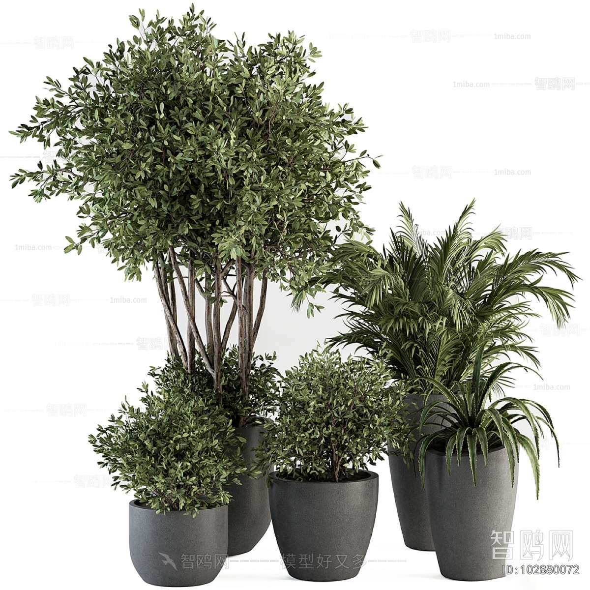 Modern Ground Green Plant Potted Plants