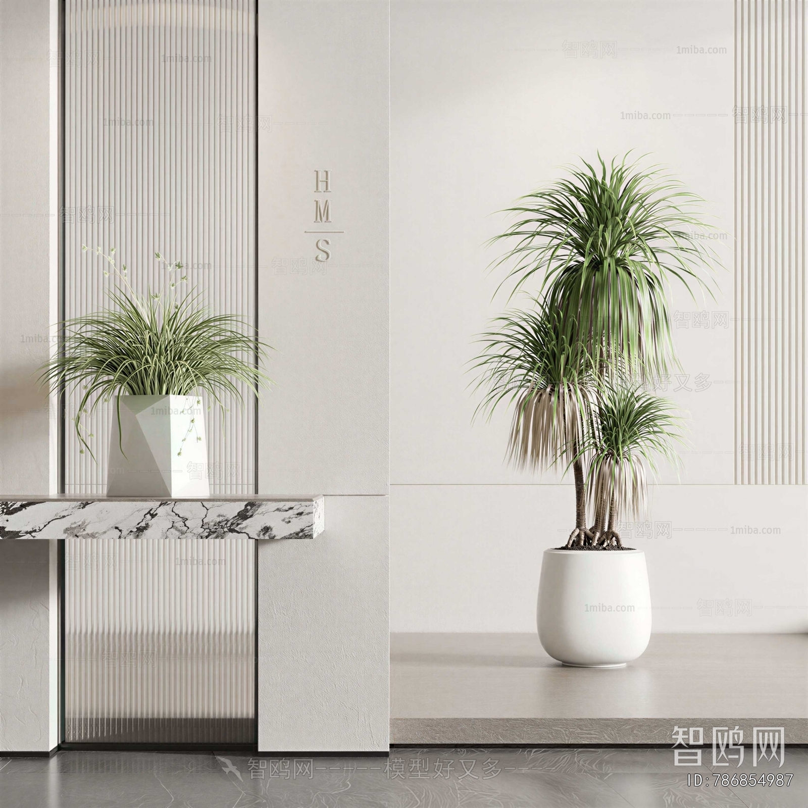 Modern Potted Green Plant