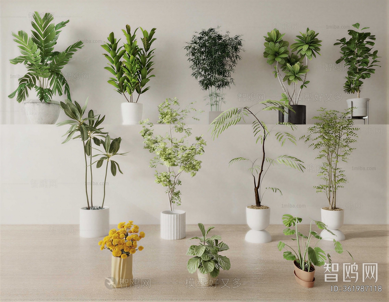 Modern Ground Green Plant Potted Plants