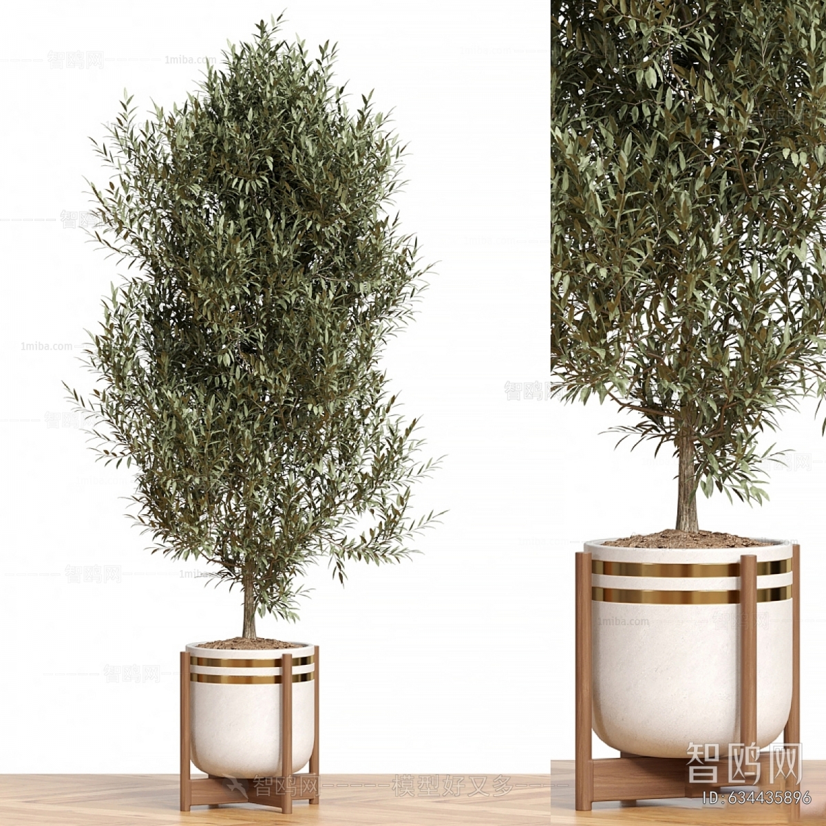 Modern Ground Green Plant Potted Plants