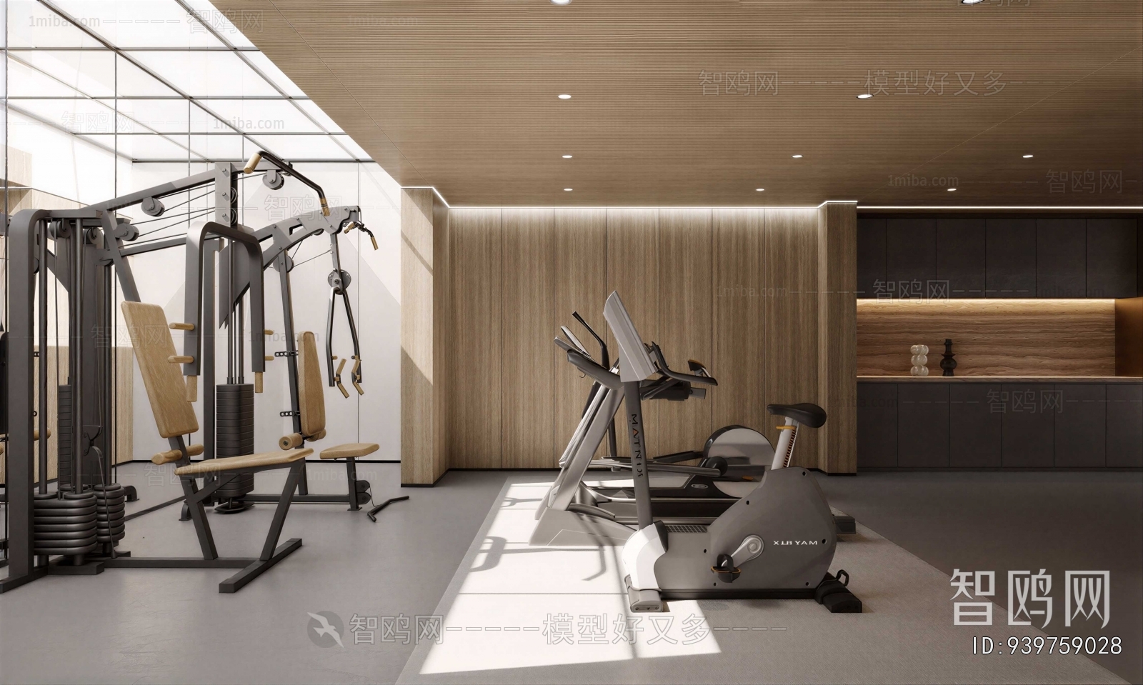 Modern Home Fitness Room