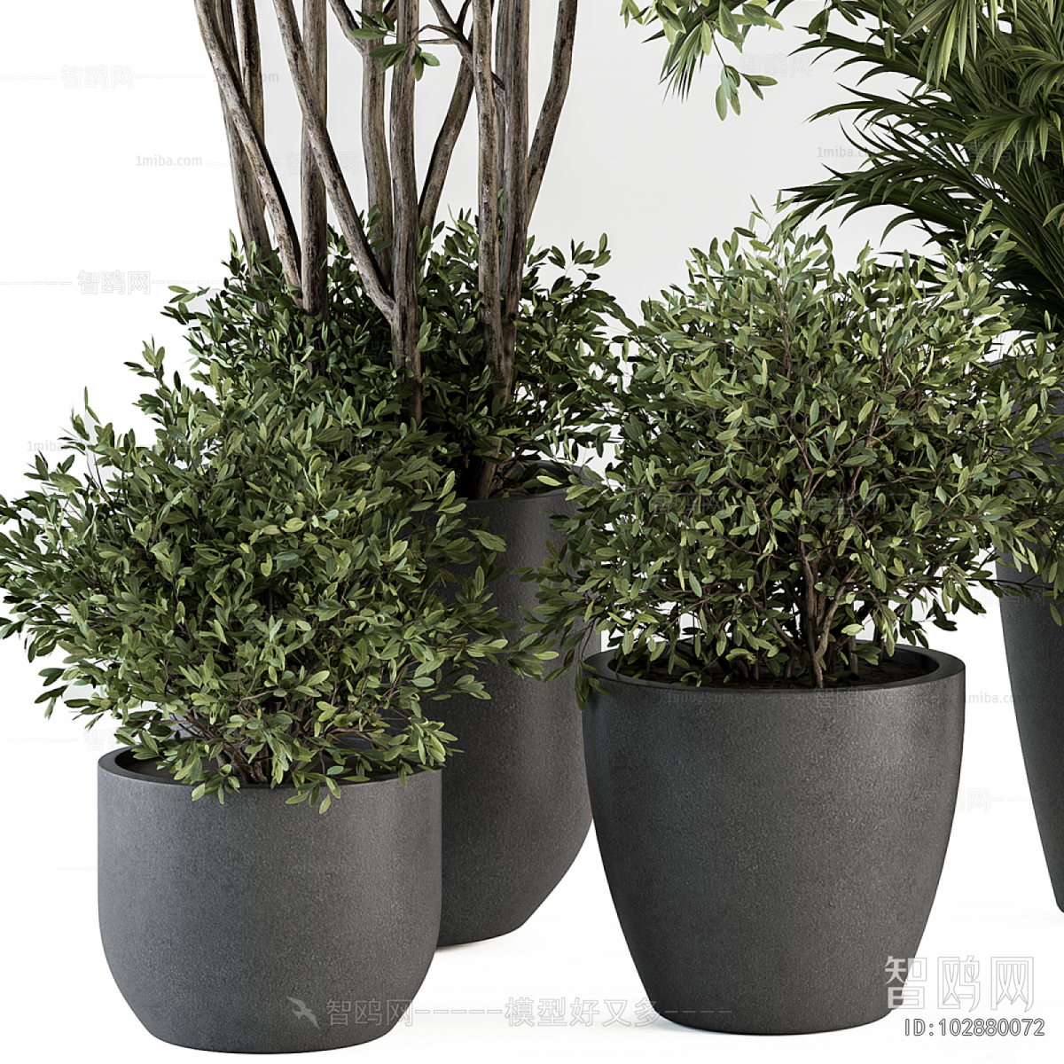 Modern Ground Green Plant Potted Plants