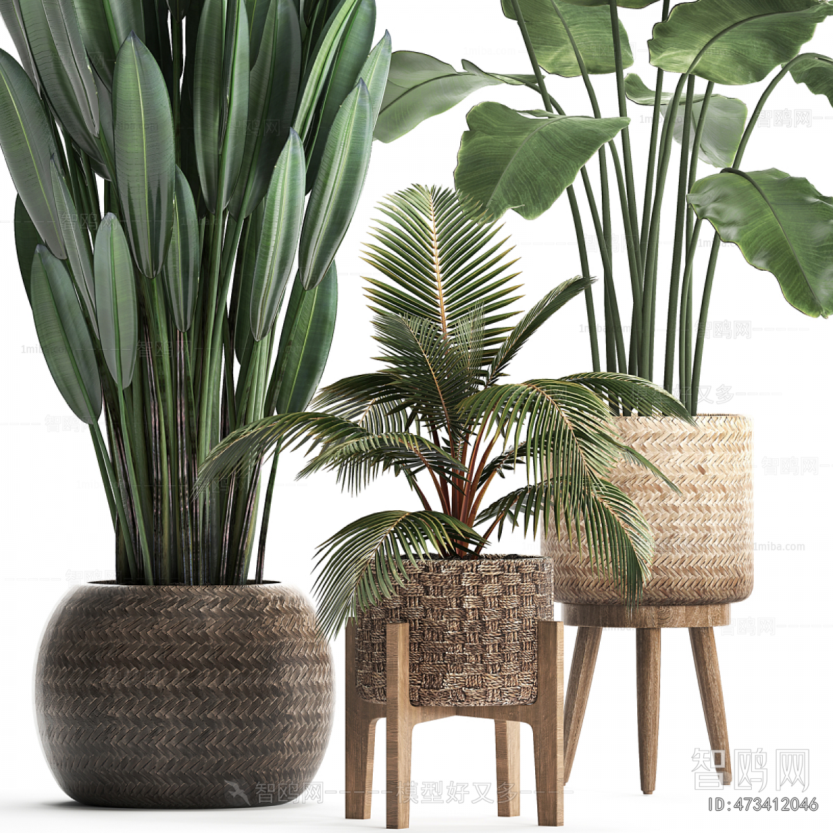 Modern Potted Green Plant