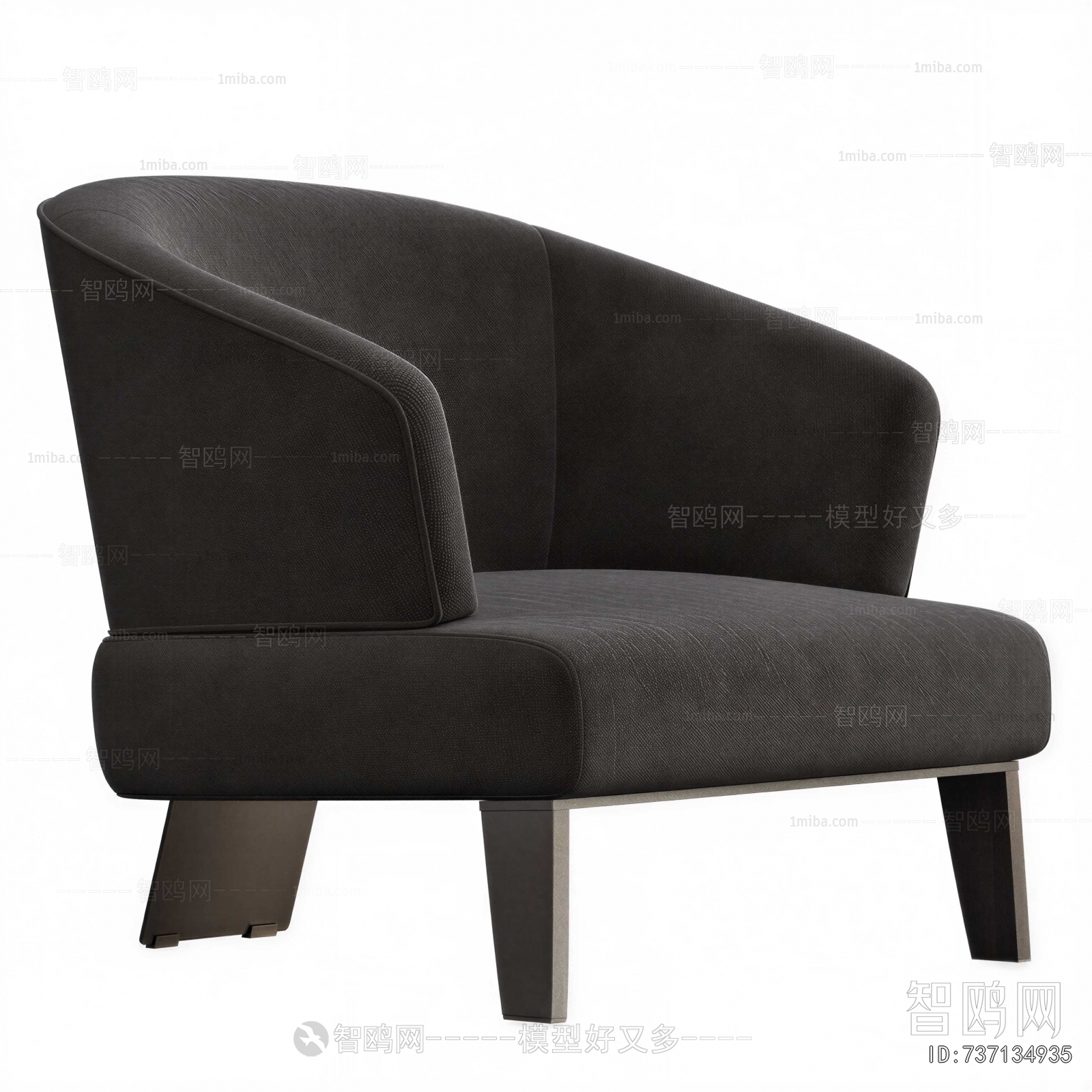 Modern Lounge Chair