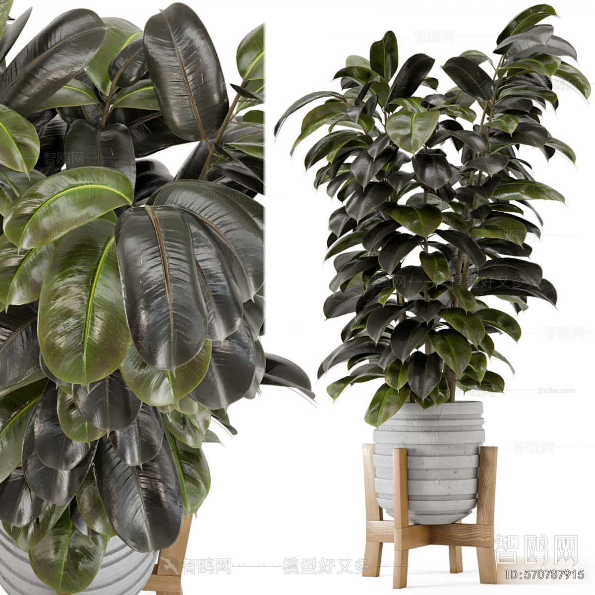 Modern Ground Green Plant Potted Plants