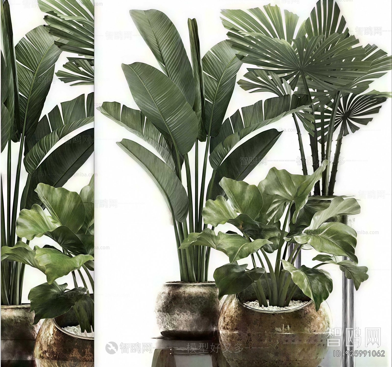Modern Ground Green Plant Potted Plants