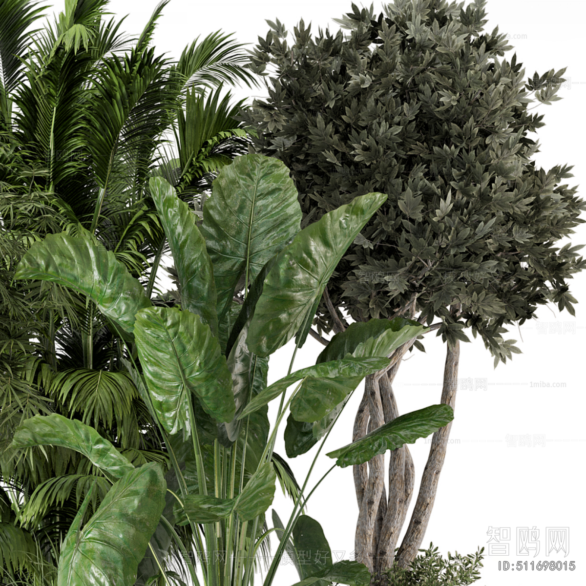 Modern Ground Green Plant Potted Plants