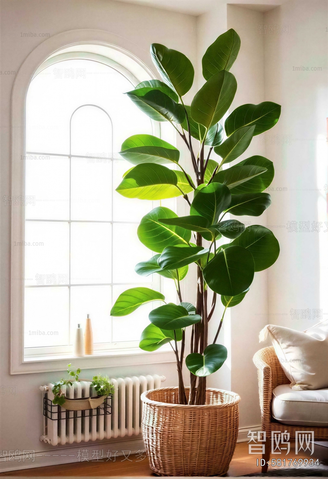 Modern Ground Green Plant Potted Plants