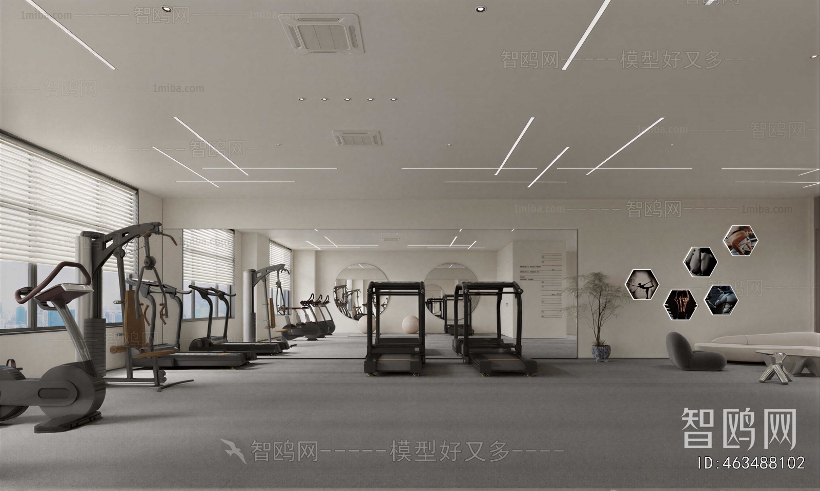 Modern Gym