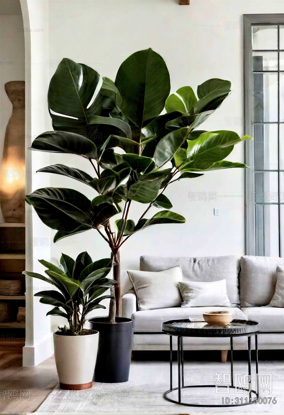 Modern Ground Green Plant Potted Plants