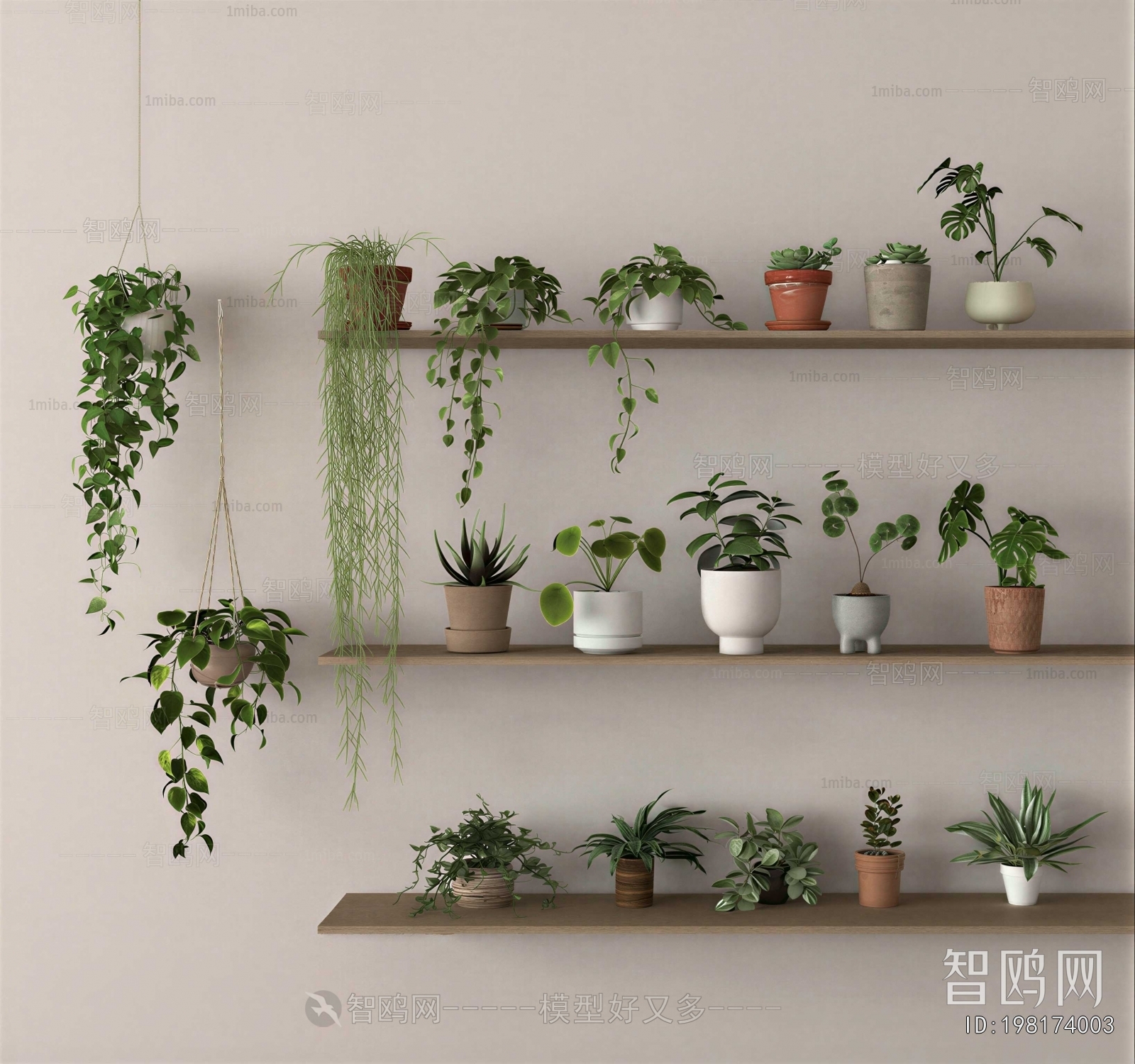 Modern Potted Green Plant