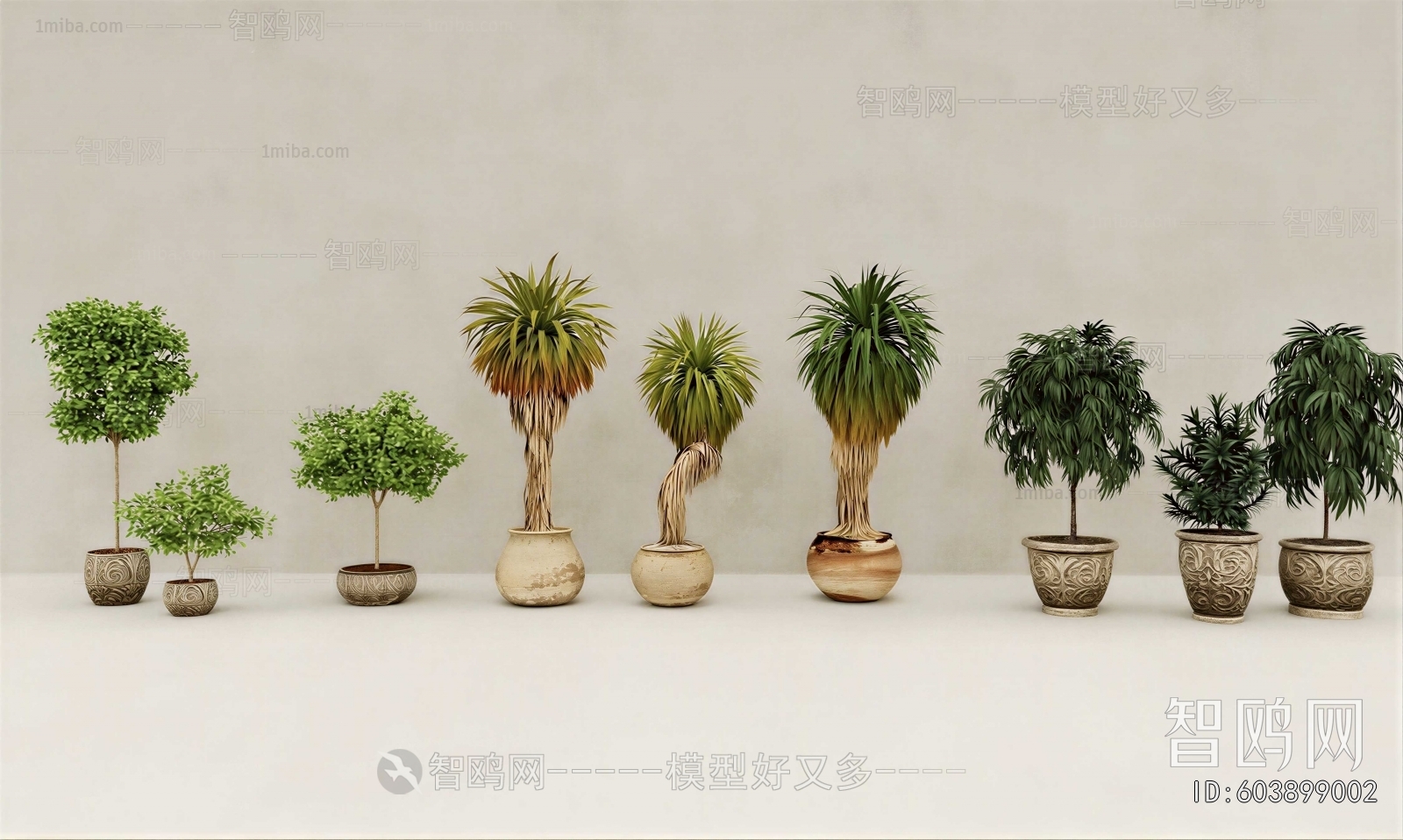Modern Ground Green Plant Potted Plants