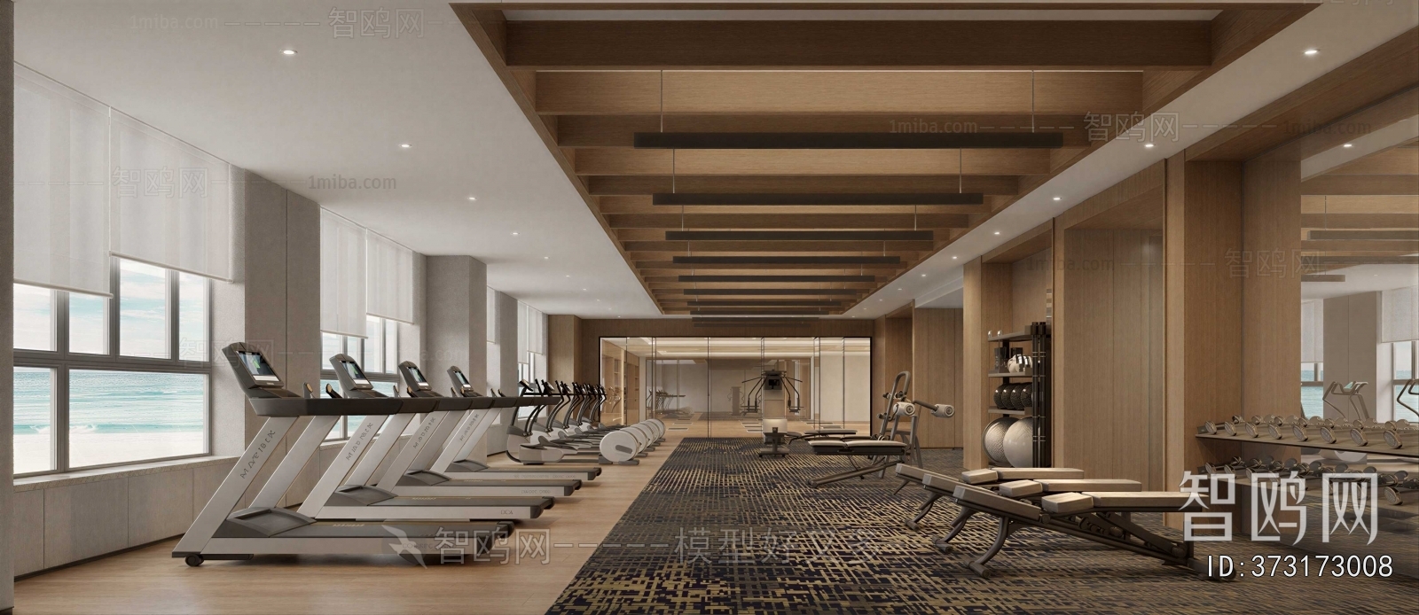 Modern Gym
