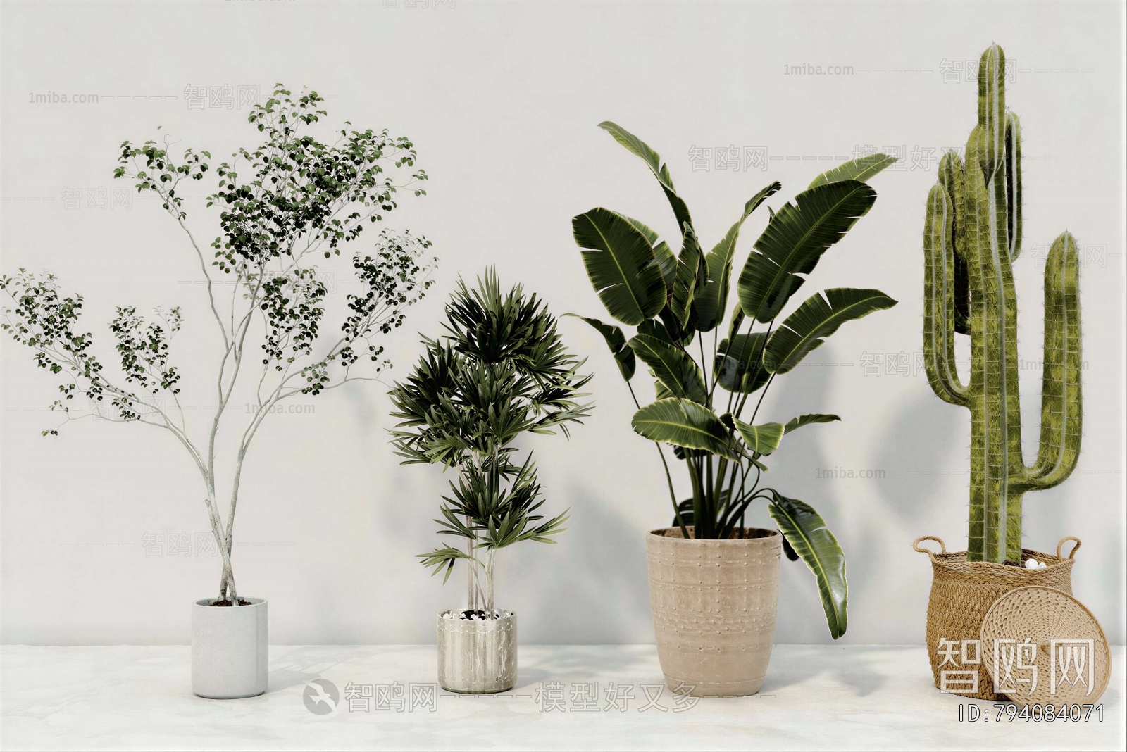 Modern Ground Green Plant Potted Plants