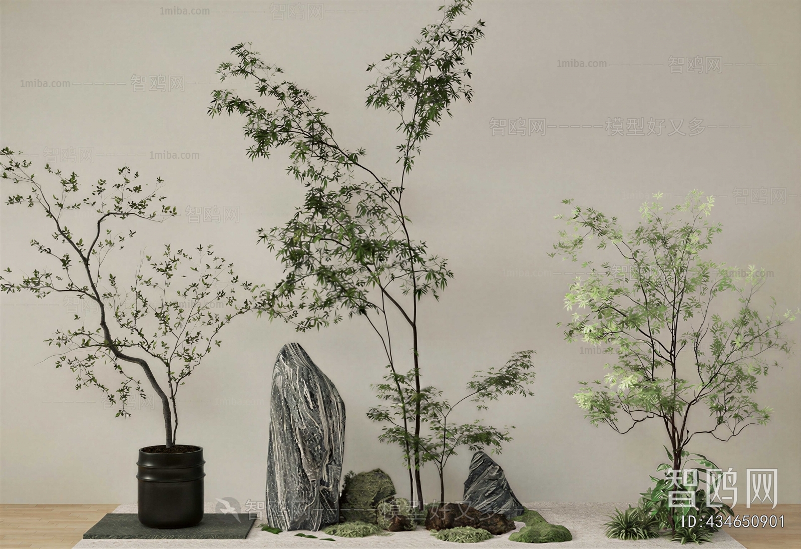 Modern Plant Landscaping