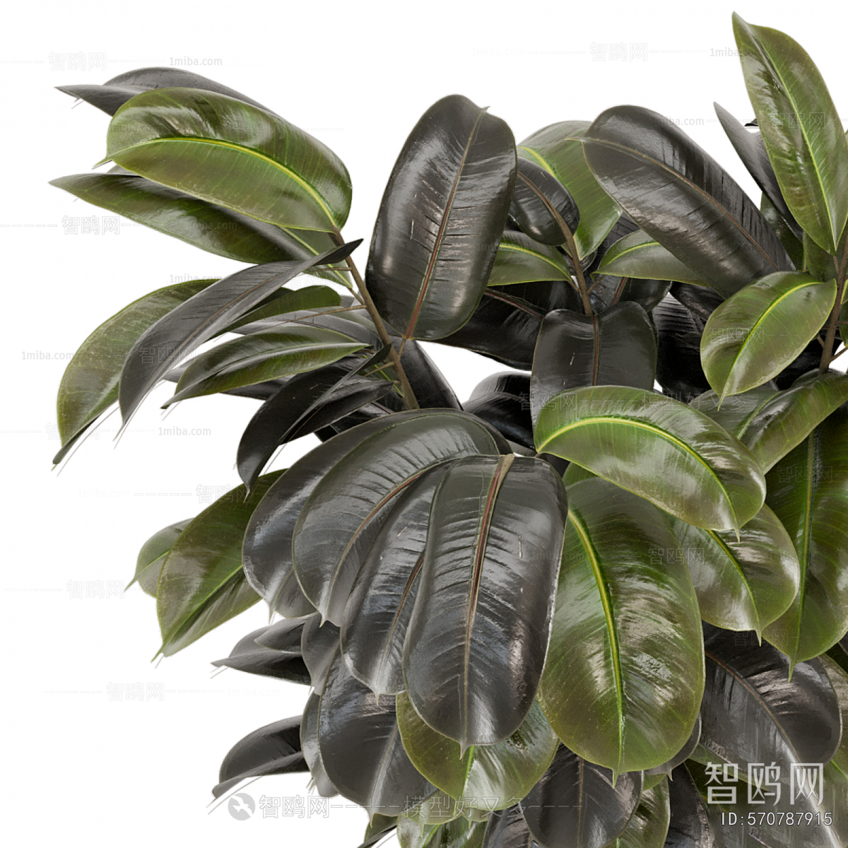 Modern Ground Green Plant Potted Plants