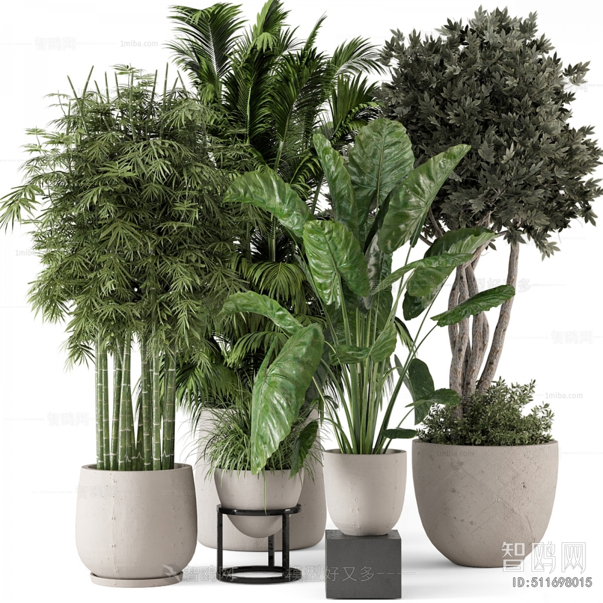 Modern Ground Green Plant Potted Plants