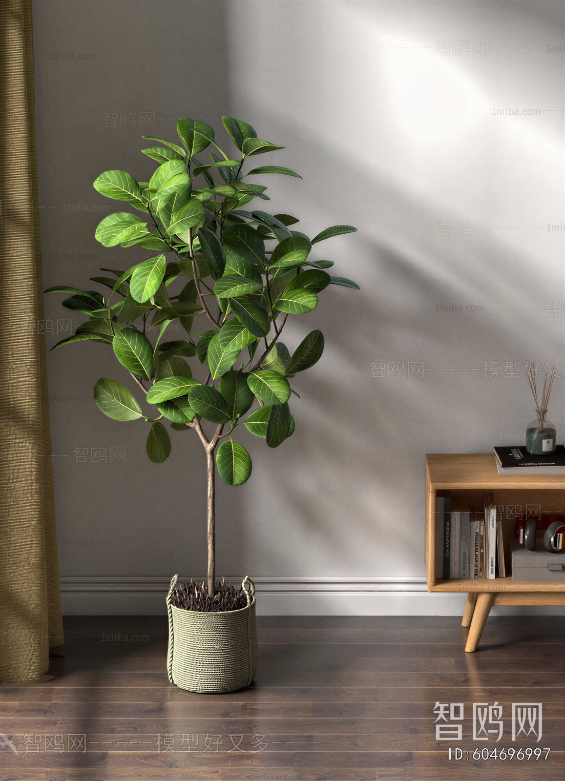 Modern Ground Green Plant Potted Plants