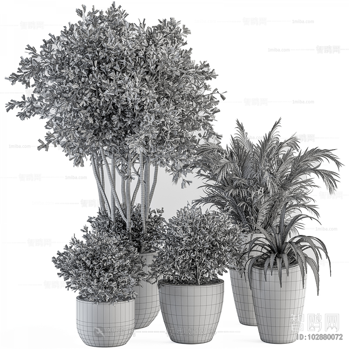 Modern Ground Green Plant Potted Plants