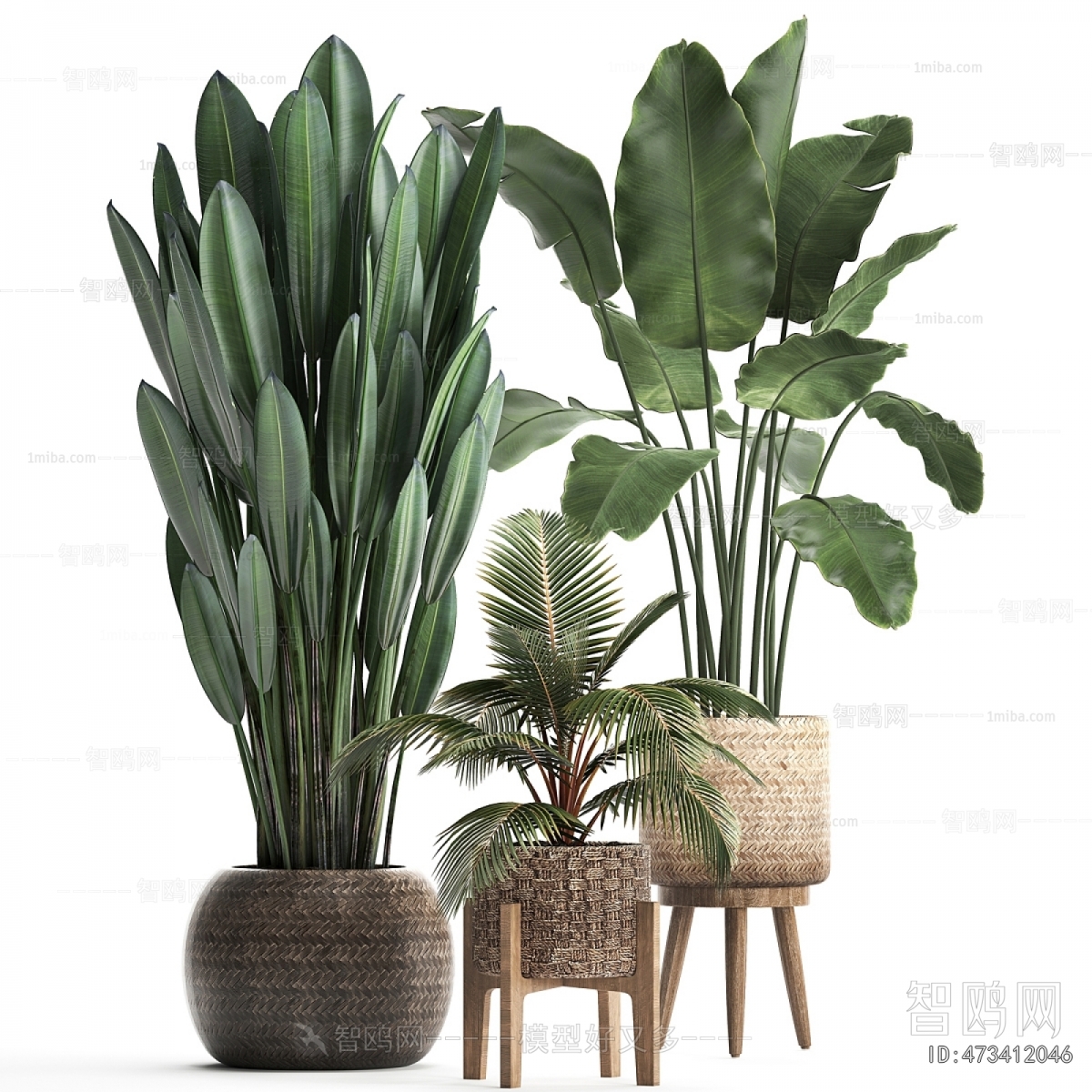 Modern Potted Green Plant
