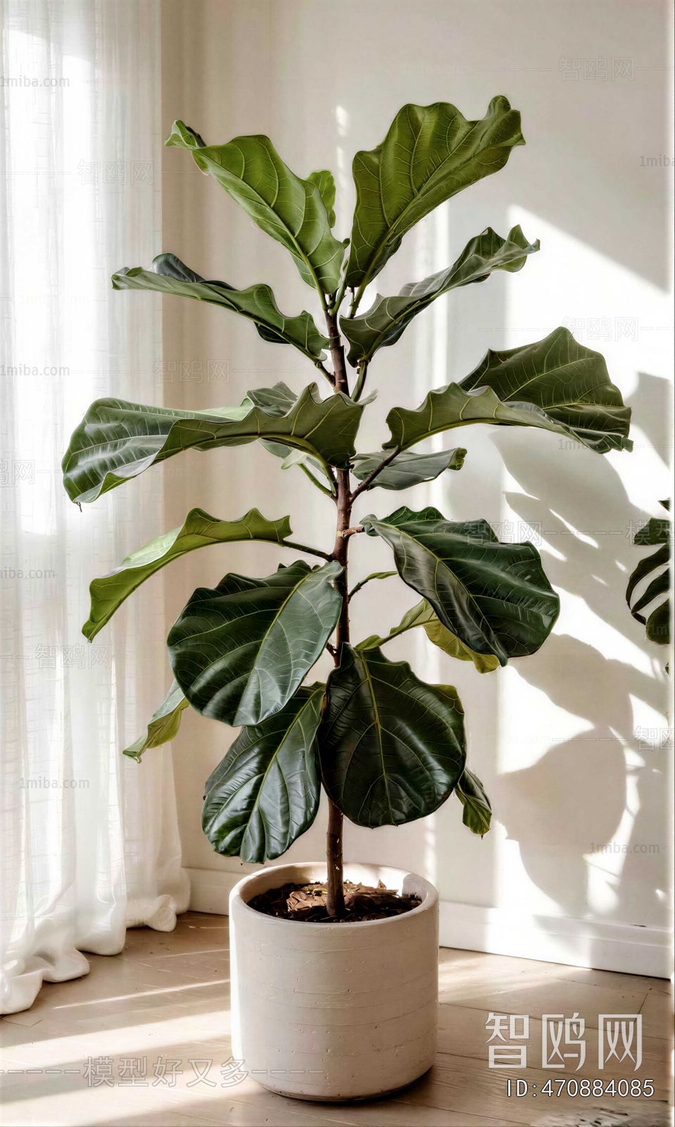 Modern Ground Green Plant Potted Plants