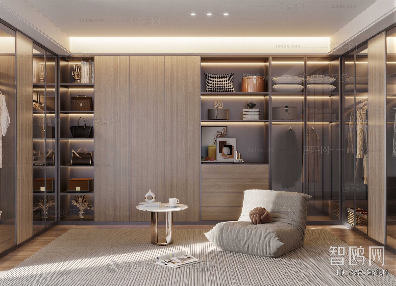 Modern Clothes Storage Area