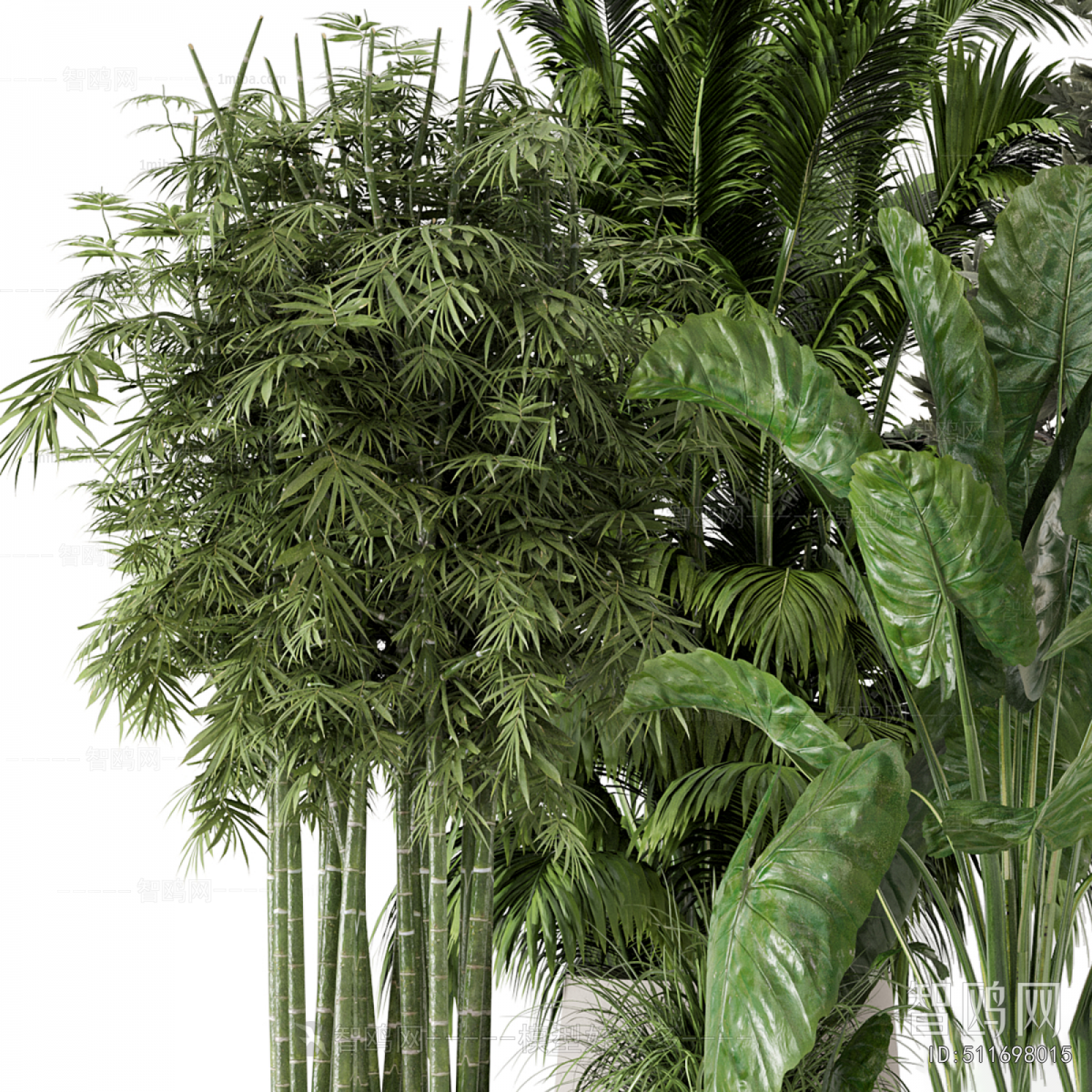 Modern Ground Green Plant Potted Plants