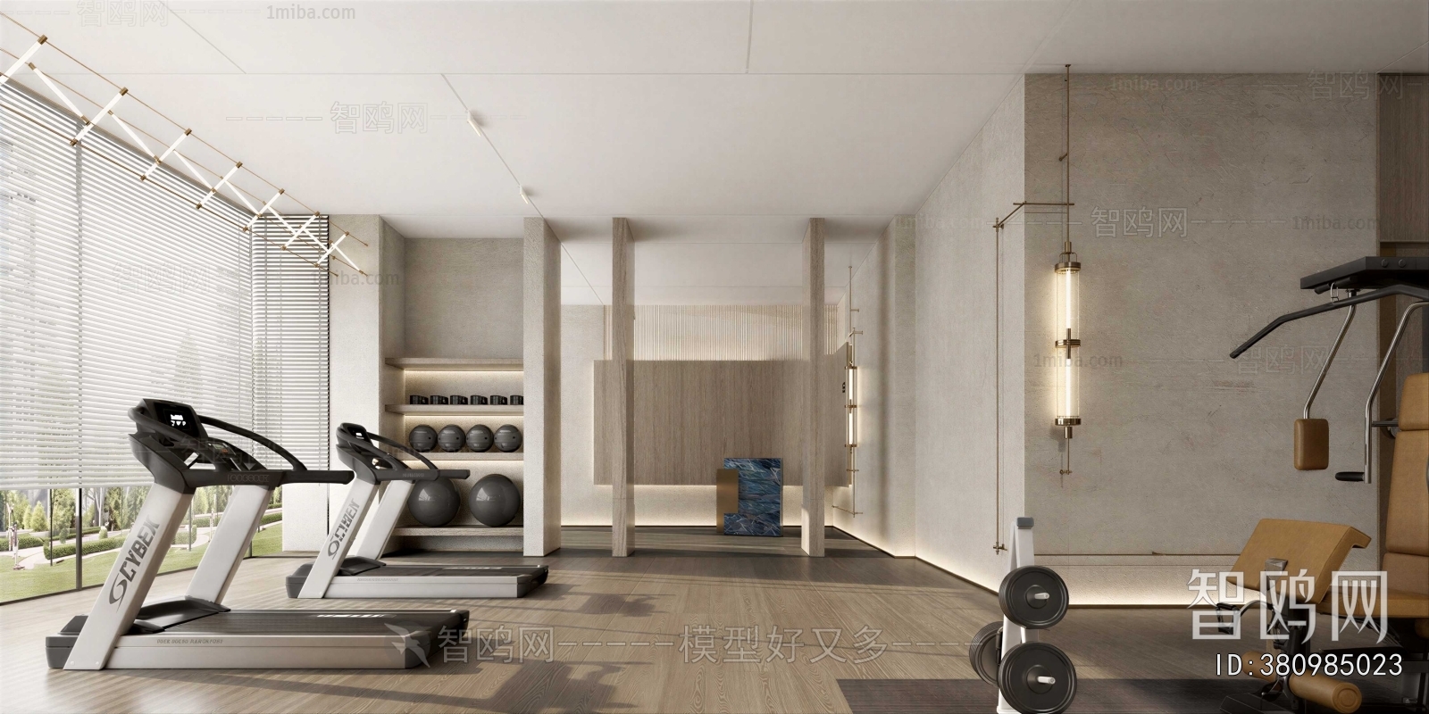 Modern Home Fitness Room
