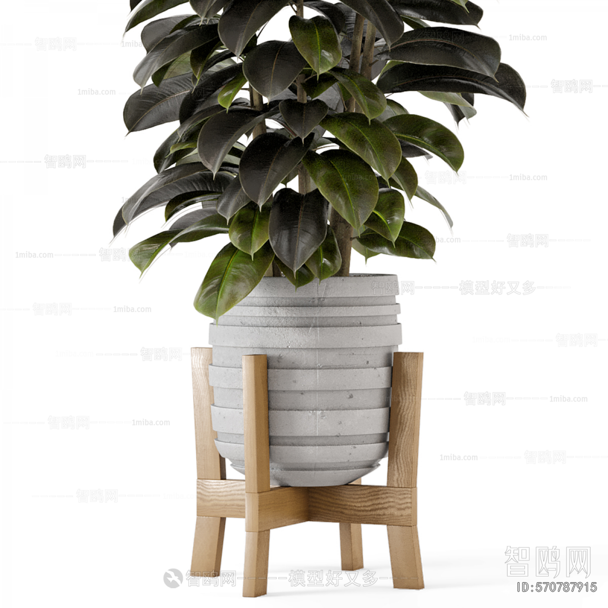 Modern Ground Green Plant Potted Plants