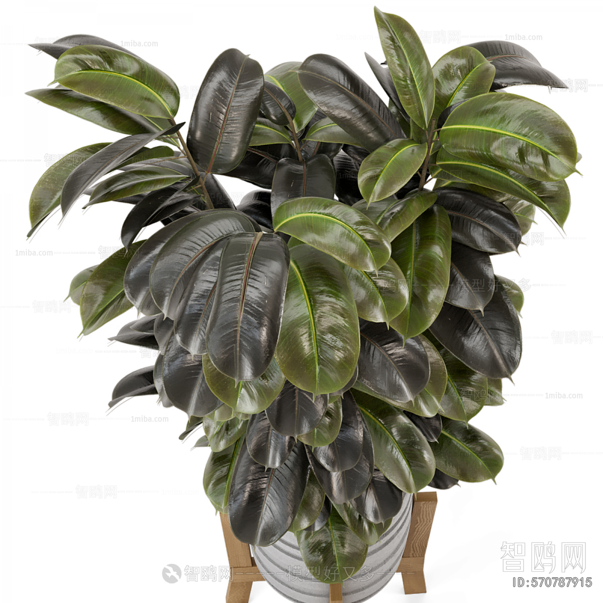 Modern Ground Green Plant Potted Plants