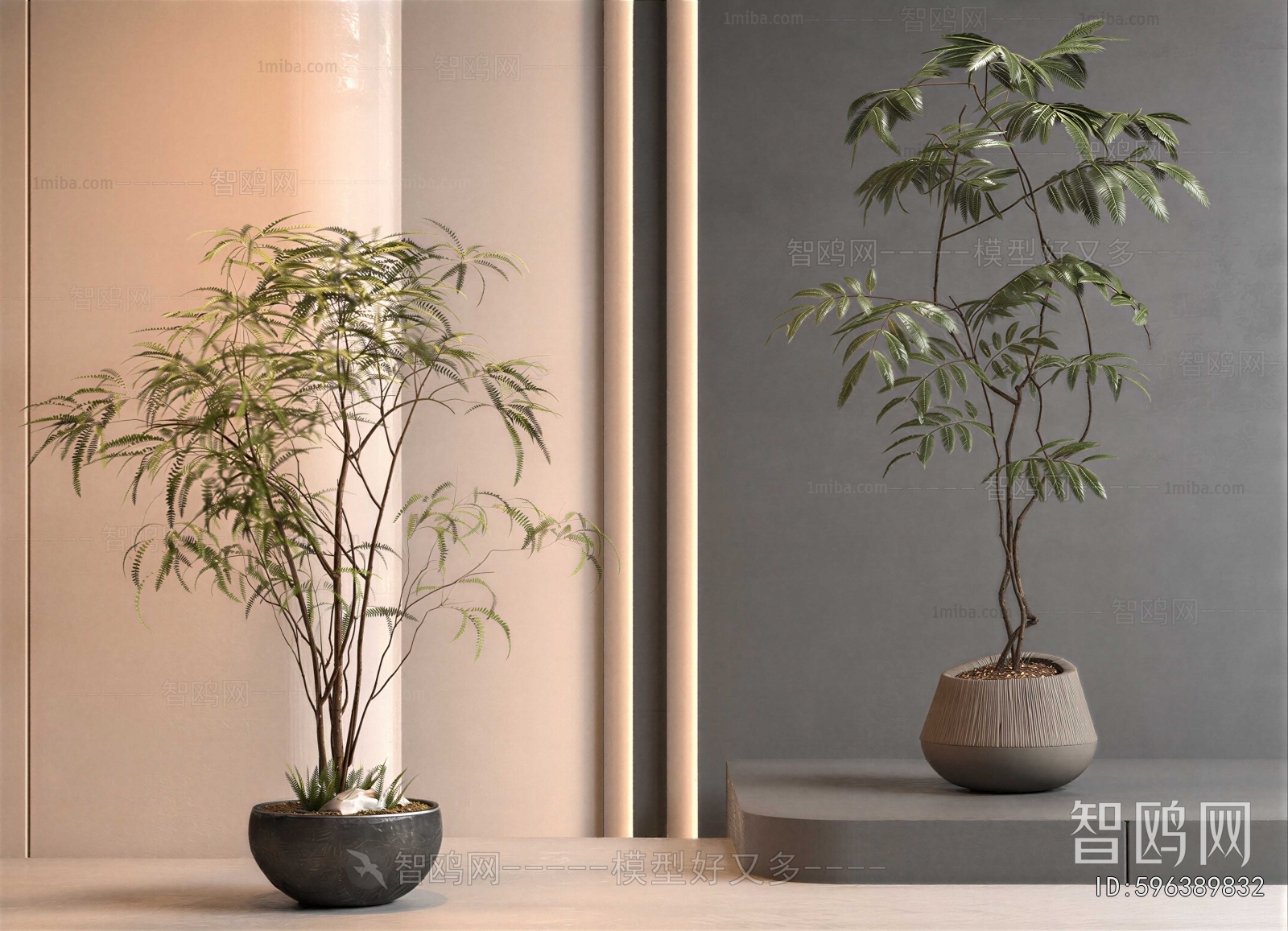 Modern Ground Green Plant Potted Plants