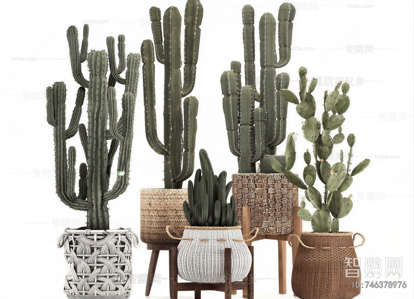 Modern Potted Green Plant