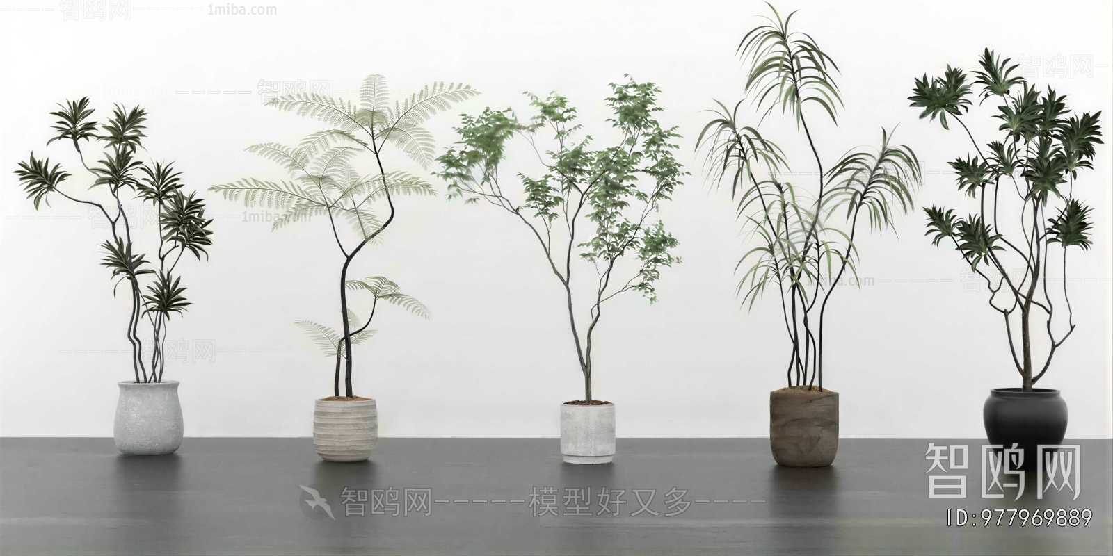 Modern Ground Green Plant Potted Plants